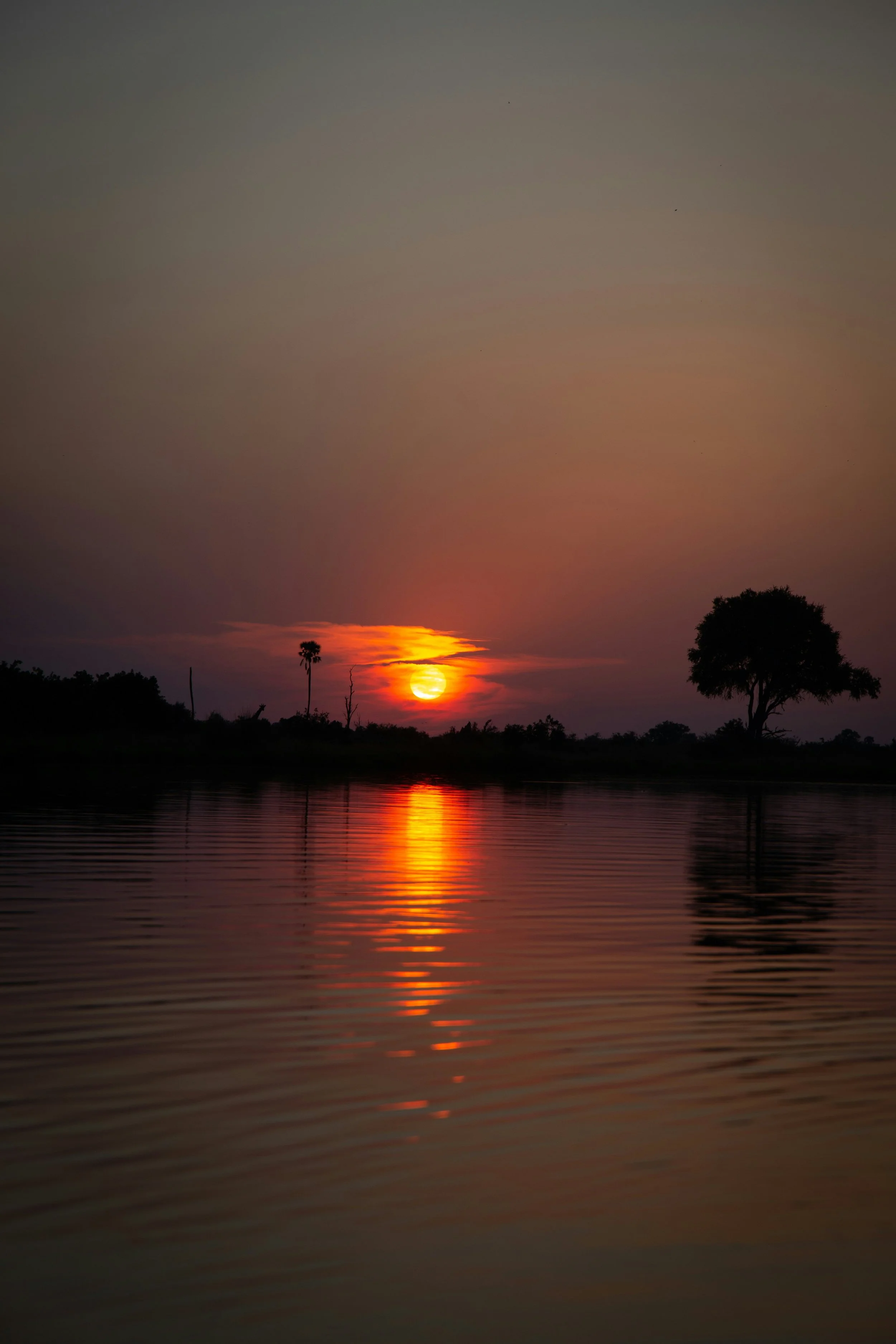 Sacred Earth