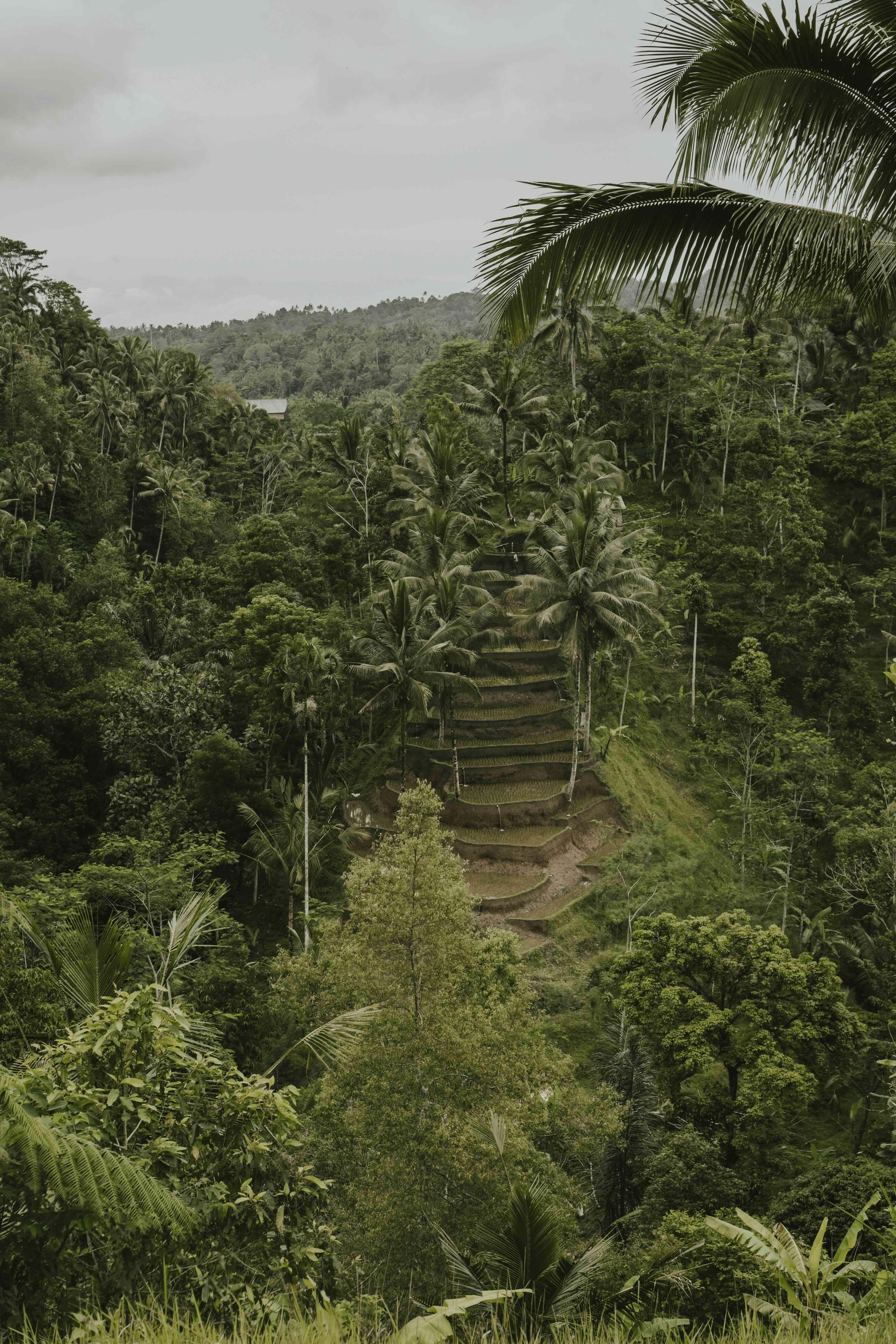 Yoga Retreat