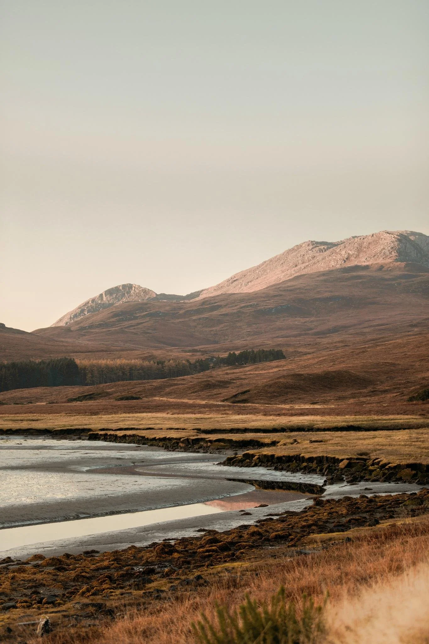 The Wild North Retreat